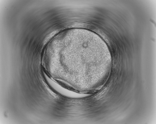 X0000098130437200805081002