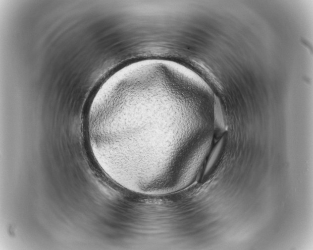 X0000098130439200805081002