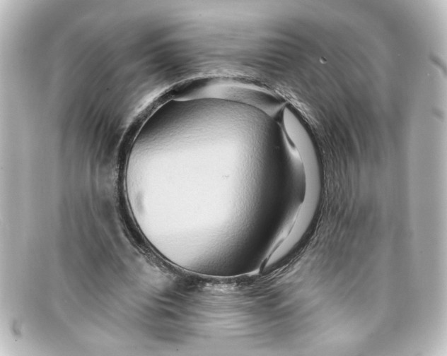 X0000098130440200805081002