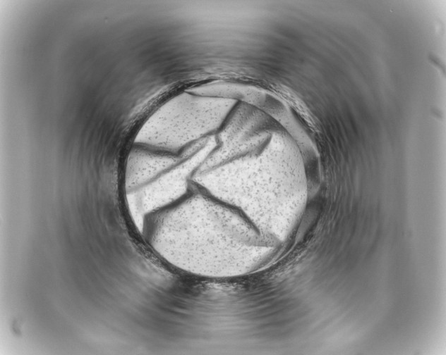 X0000098130442200805081002