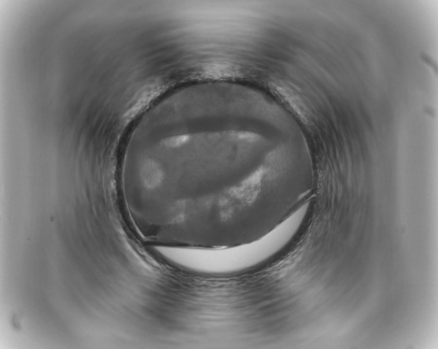 X0000098130443200805081002