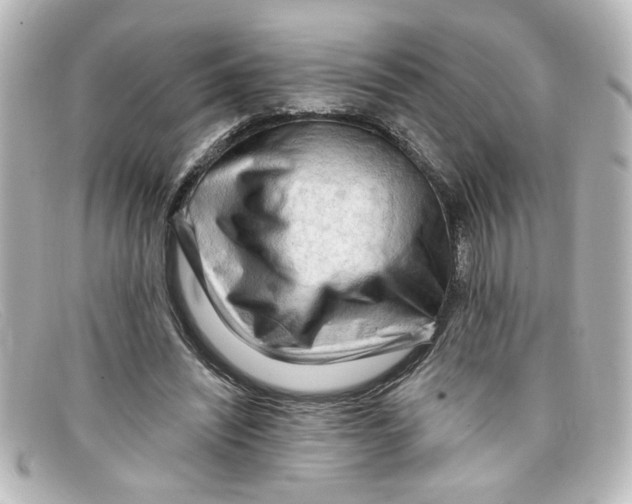 X0000098130444200805081002