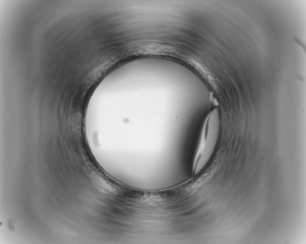 X0000098130445200805081002