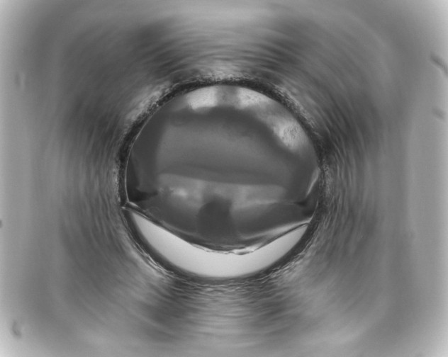 X0000098130447200805081002