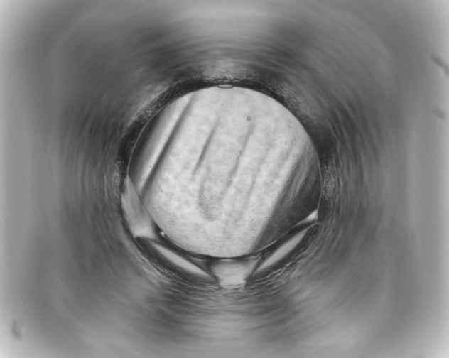 X0000098130448200805081002