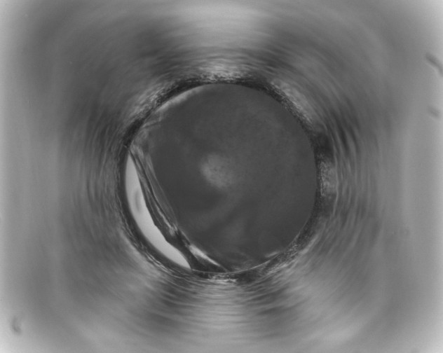 X0000098130451200805081002