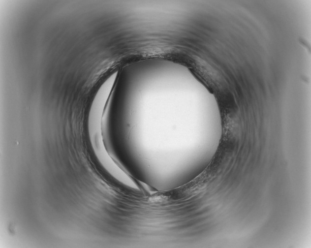 X0000098130452200805081002