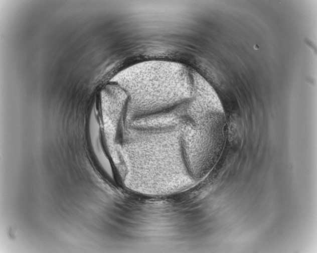 X0000098130454200805081002