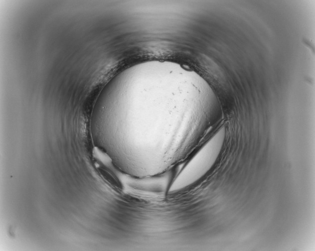 X0000098130456200805081002