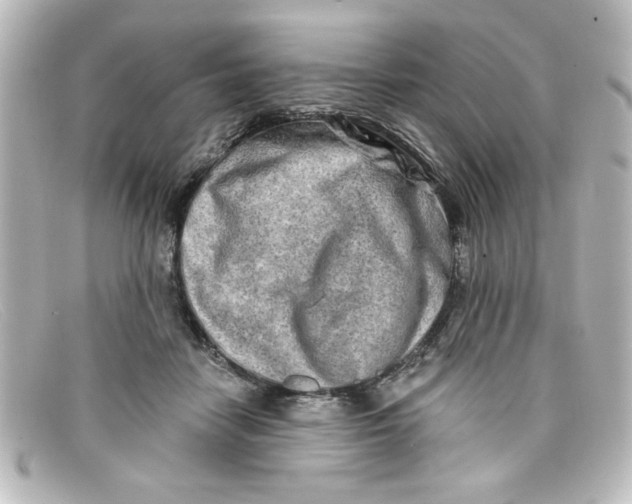 X0000098130458200805081002