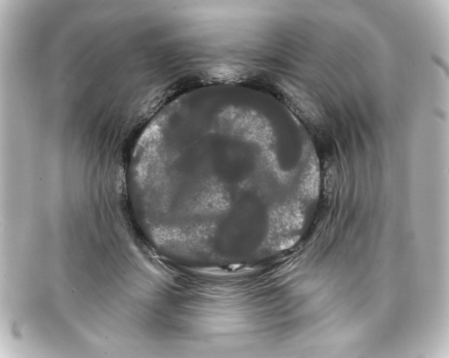 X0000098130459200805081002