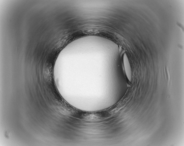 X0000098130460200805081002