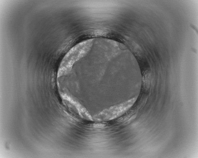 X0000098130462200805081002