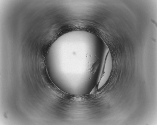 X0000098130464200805081002