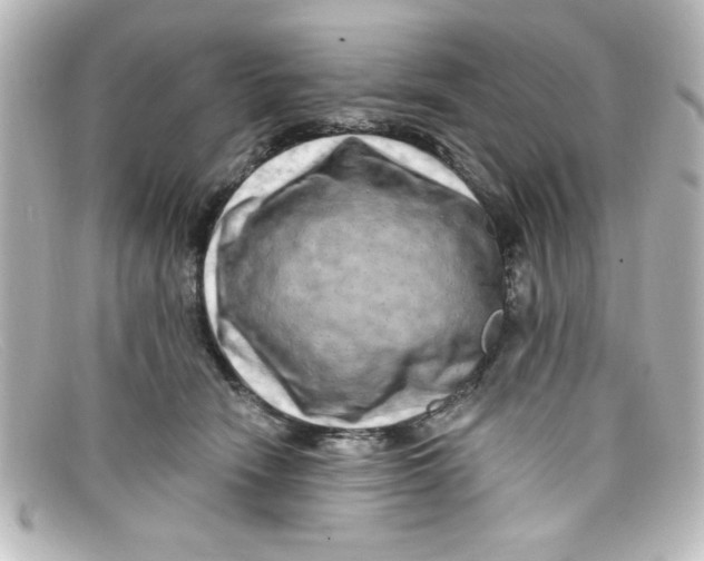 X0000098130466200805081002