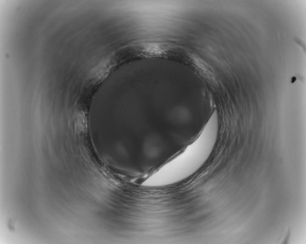 X0000098130467200805081002