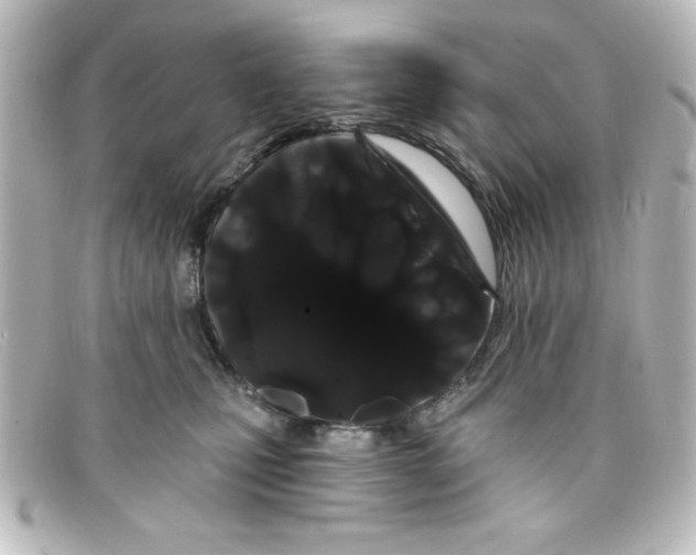 X0000098130471200805081002