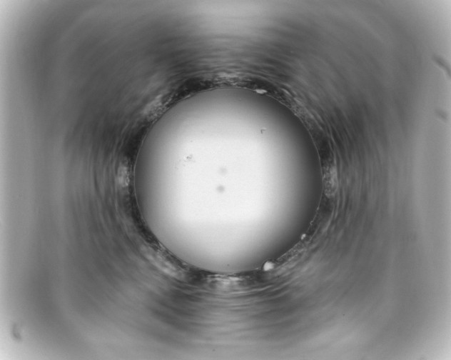 X0000098130472200805081002