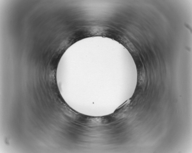 X0000098130473200805081002