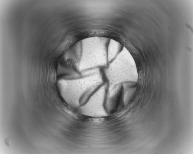 X0000098130474200805081002