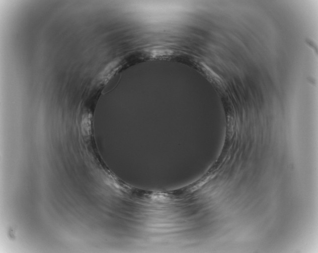 X0000098130475200805081002