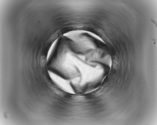 X0000098130476200805081002