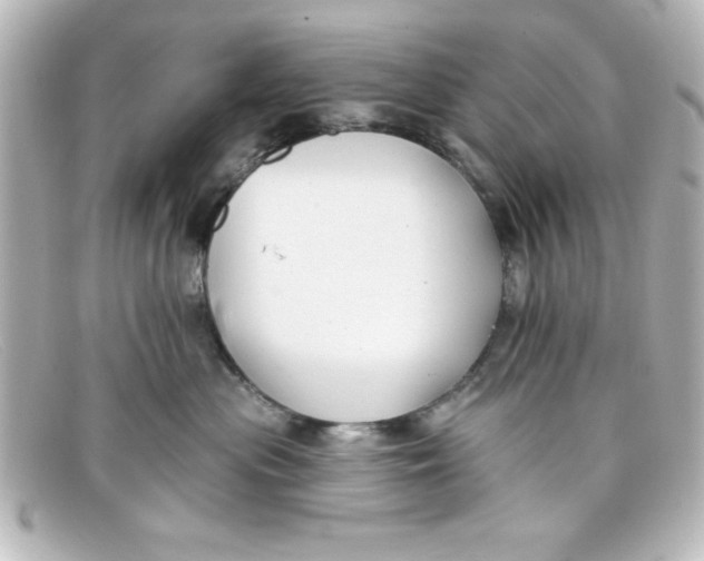 X0000098130477200805081002
