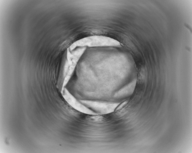 X0000098130478200805081002