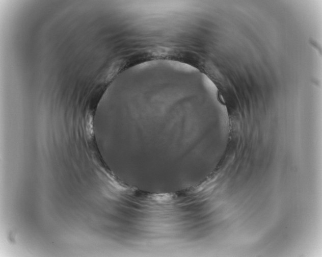 X0000098130479200805081002