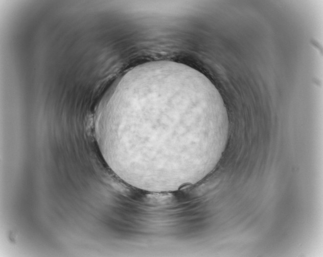 X0000098130480200805081002
