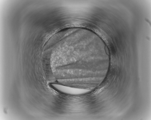 X0000098130481200805081002
