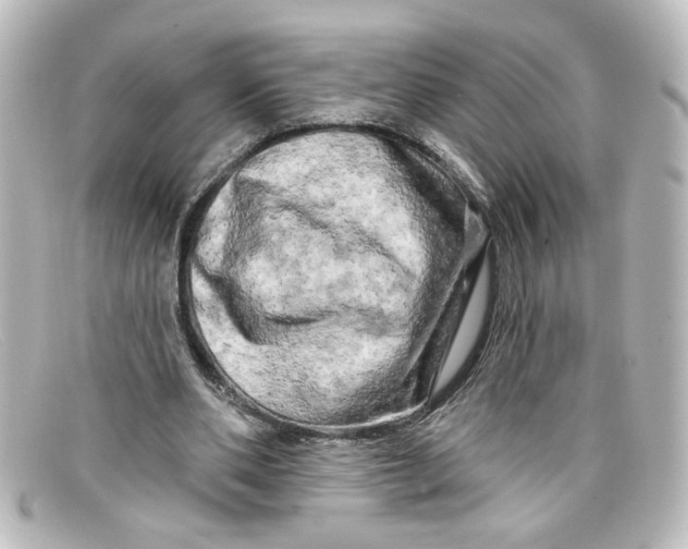 X0000098130486200805081001