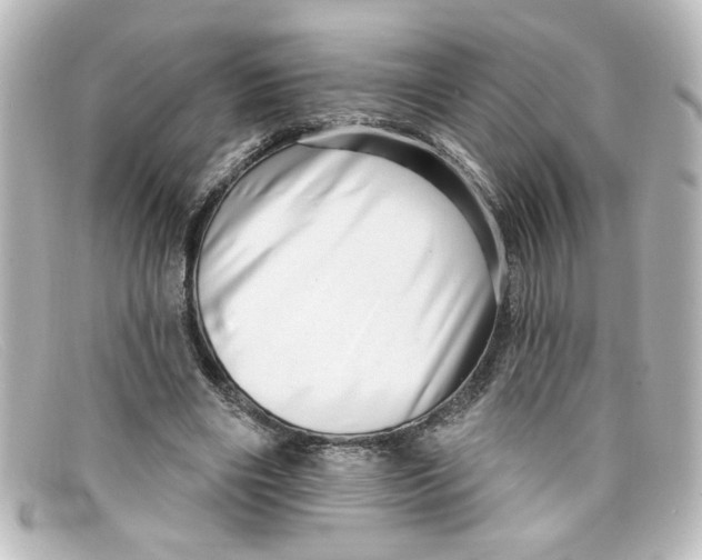 X0000098130490200805081001