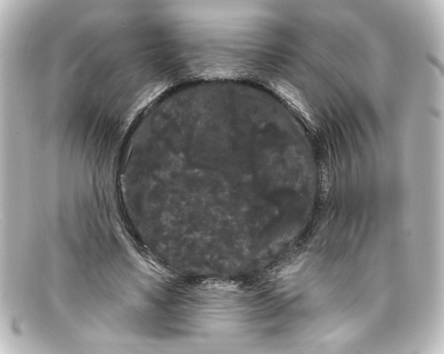 X0000098130491200805081001