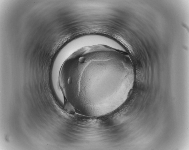 X0000098130493200805081001