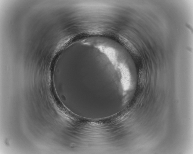 X0000098130494200805081001
