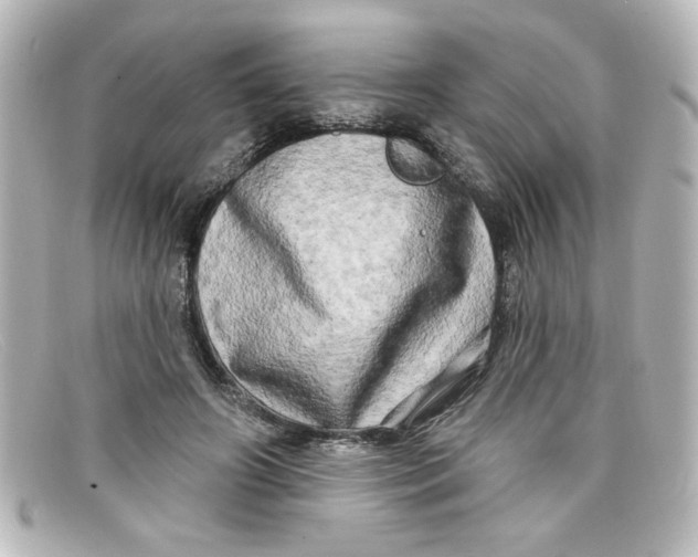 X0000098130498200805081001