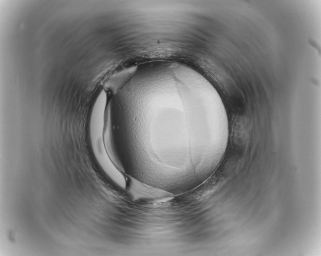 X0000098130501200805081001