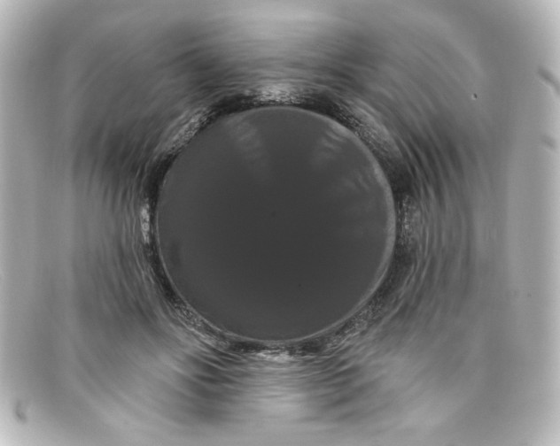 X0000098130502200805081001