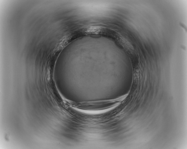 X0000098130504200805081001