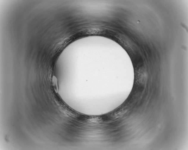 X0000098130505200805081001