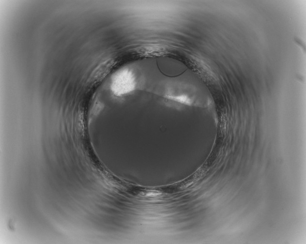 X0000098130506200805081001