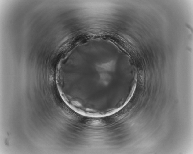 X0000098130507200805081001