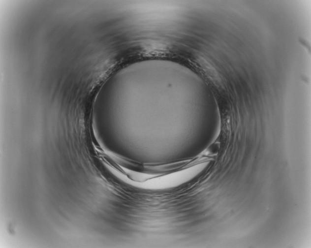 X0000098130508200805081001