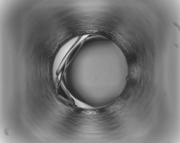 X0000098130512200805081001