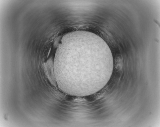 X0000098130515200805081001