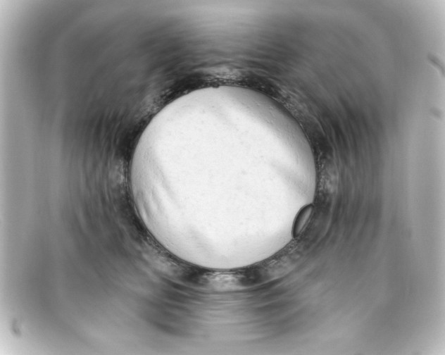 X0000098130518200805081001