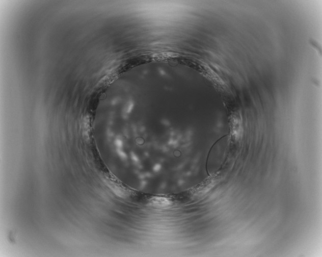 X0000098130519200805081001