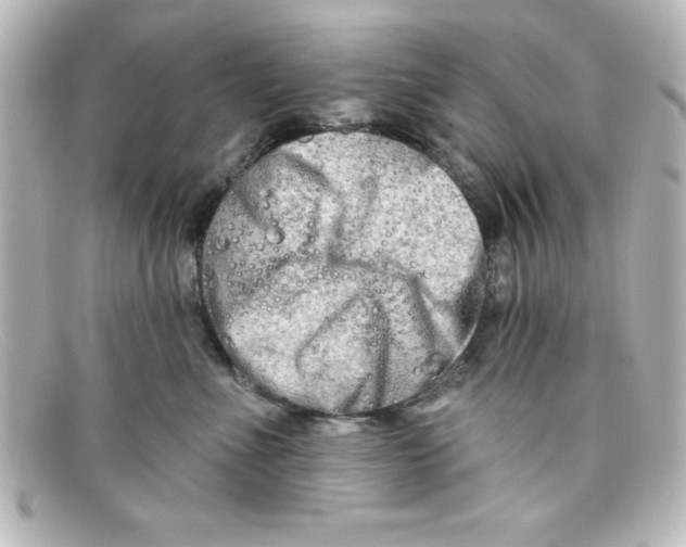 X0000098130523200805081001
