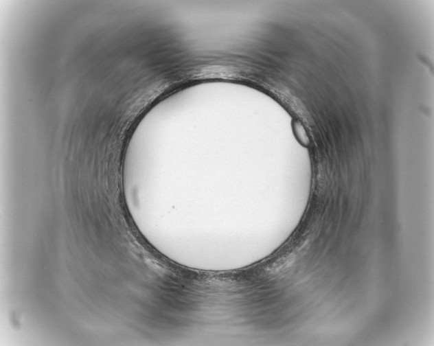 X0000098130529200805081000